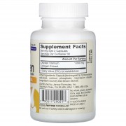 Jarrow Formulas, комплекс колагену II типу, 60 капсул (500 мг на капсулу)